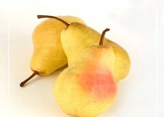 نهال گلابی بوره بوتس
