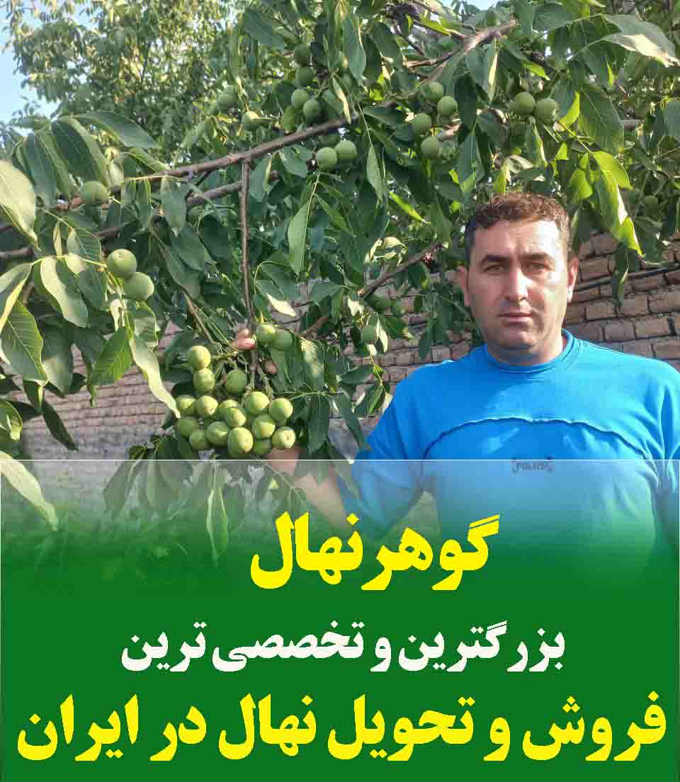 فروش نهال